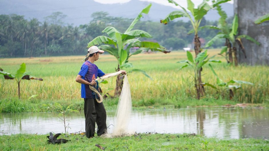 Penanak nasi dan peralatan dapur di atas meja yang sering menyala seharian