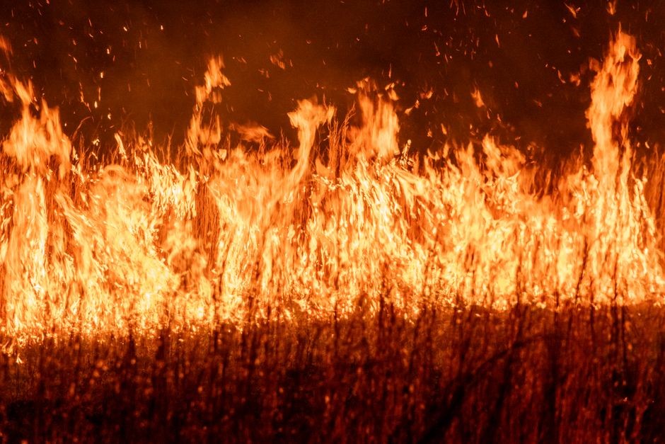Pesawat tanpa awak menyemprotkan air dari udara untuk memadamkan kebakaran lahan
