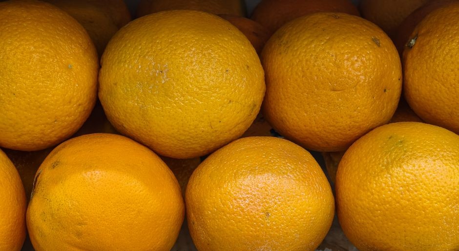 Buah jeruk segar kaya vitamin C alami dan nutrisi nabati yang aman bagi kesehatan ginjal.